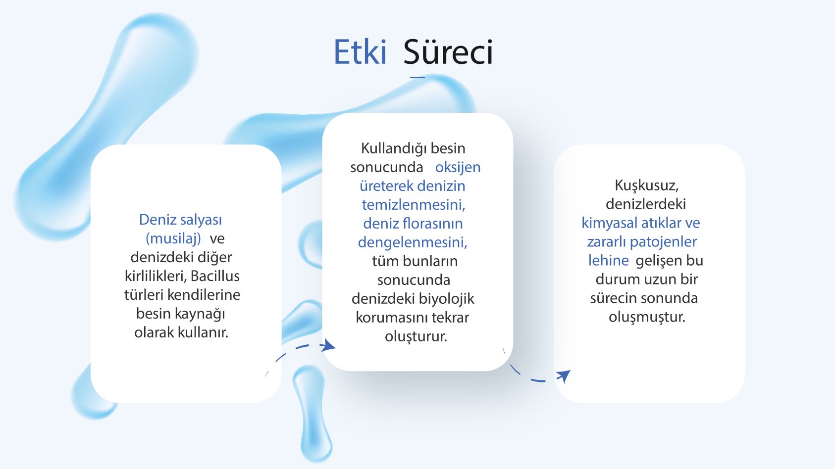 Deniz Salyası Sunumu 4